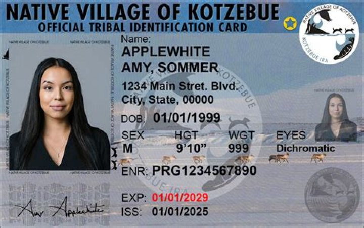 Are tribal IDS acceptable?