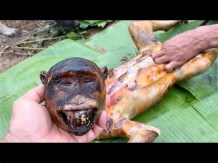 Do people eat monkeys?