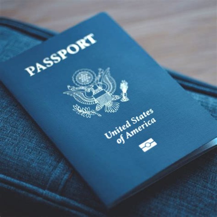 How do I get a government passport website?