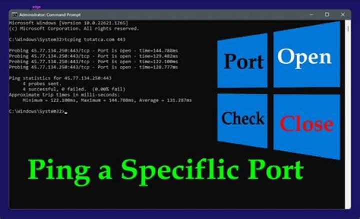 How do I ping a port in Windows 10?