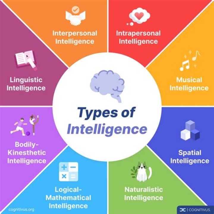 How many types of intelligence tests are there?