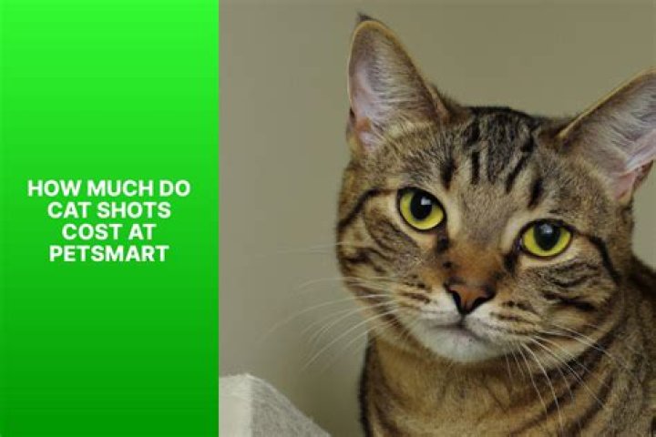 How much do shots cost for cat?