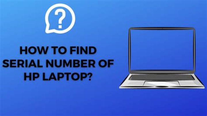 How old is my HP laptop by serial number?