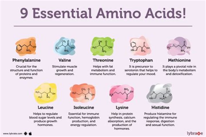 What are the 8 amino acids called?