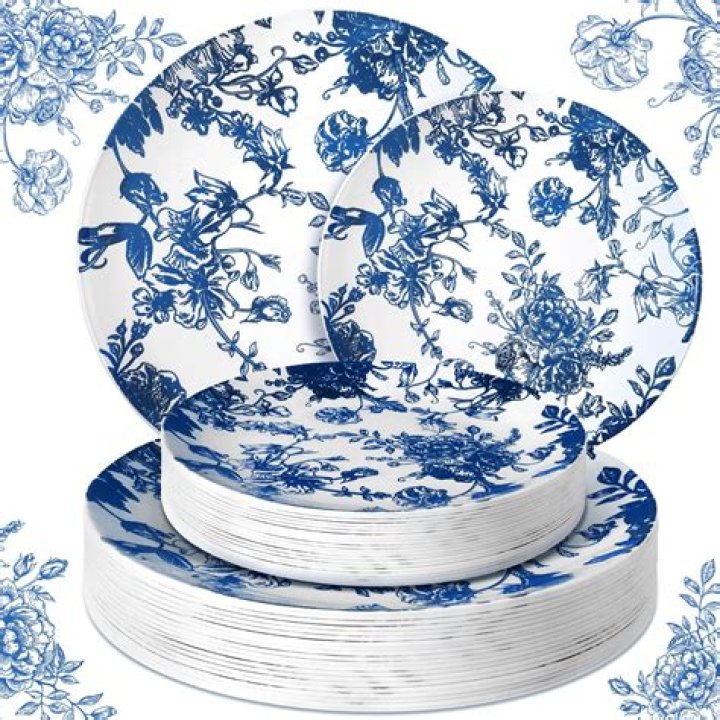 What are those blue and white plates called?