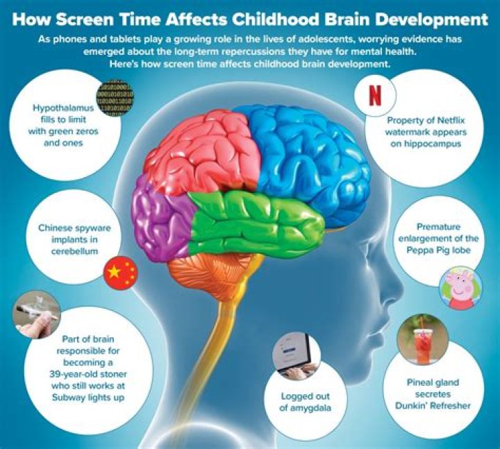What does too much screen time do to a child's brain?