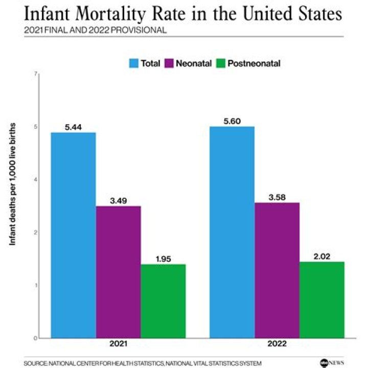What factors contribute to differences in infant mortality rates by race ethnicity?