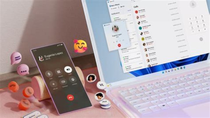 What is a phone theme?