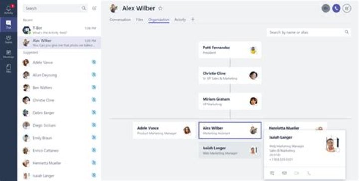 Where is the organization tab in teams?