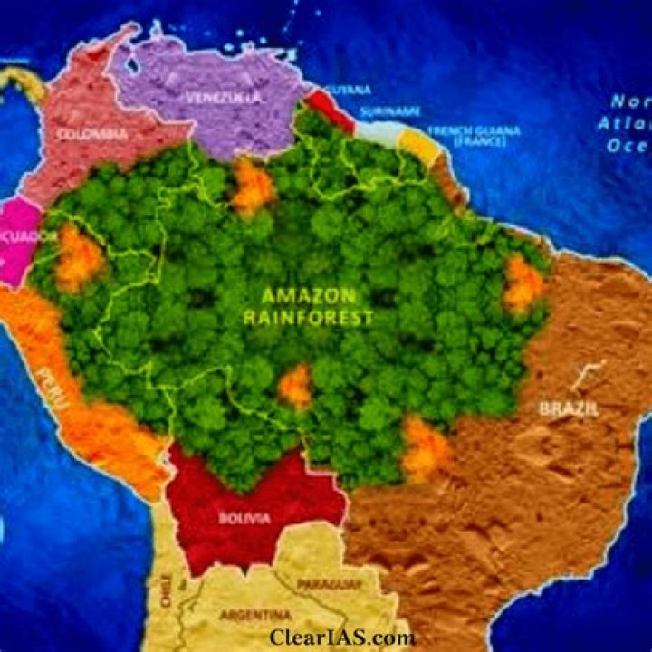 Why is the Amazon rainforest called the pharmacy of the world?